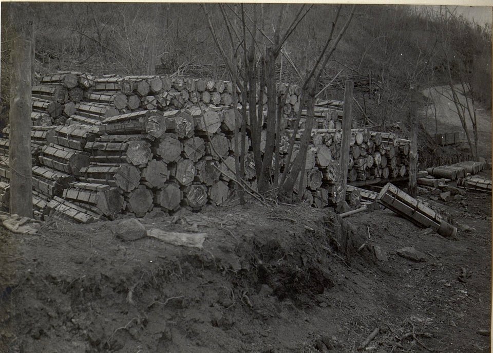 Im Gesträuch versteckte itl. Verschläge. Podgorahöhe, Anfang April 1918. (BildID 15664523)