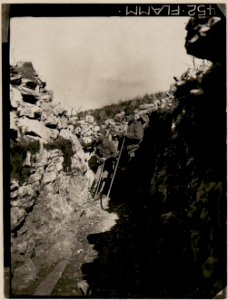 Im Laufgraben auf den Monte Sabotino (BildID 15732677)