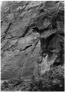 Image of human face in rock at base of Pulpit, Temple of Sinawava. - NARA - 520478