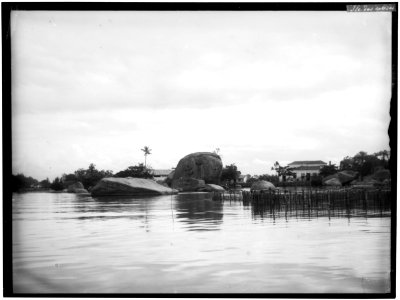 Ilha das Cobras - 2