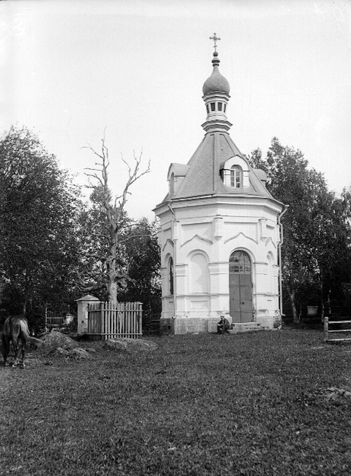 Ilieshy1911