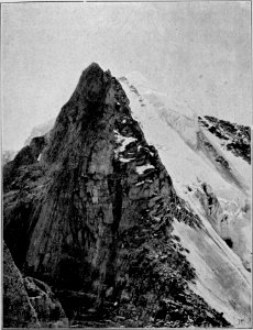 Il Trentino 46