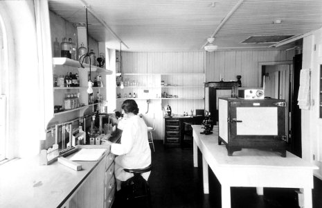 Immunology laboratory at the central cancer research labs photo