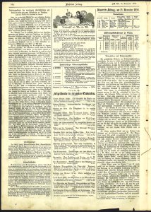 Illustrirte Zeitung No. 0698, Seite 314, 1865-11-15