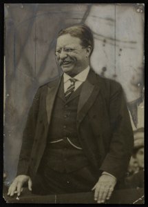 In a jovial mood Theodore Roosevelt, member, Advisory Board, American Defense Society. LCCN2013650913