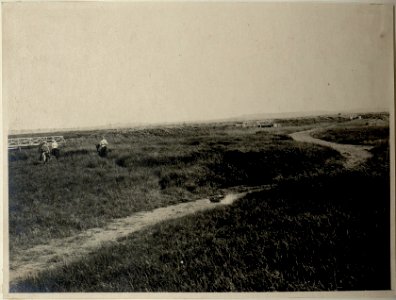 In den Mäander Sümpfen, Ebene von Troja (BildID 15545791)