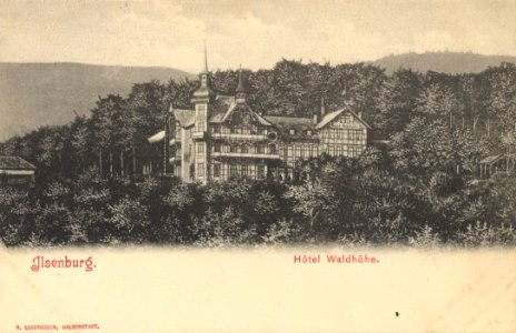 Ilsenburg (Harz), Sachsen-Anhalt - Hotel Waldhöle (Zeno Ansichtskarten)