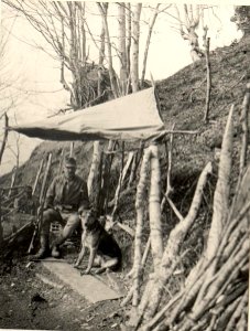 Im Bau begriffener Graben auf Kote 806, aufgenommen am 21. April 1916 (BildID 15473430)