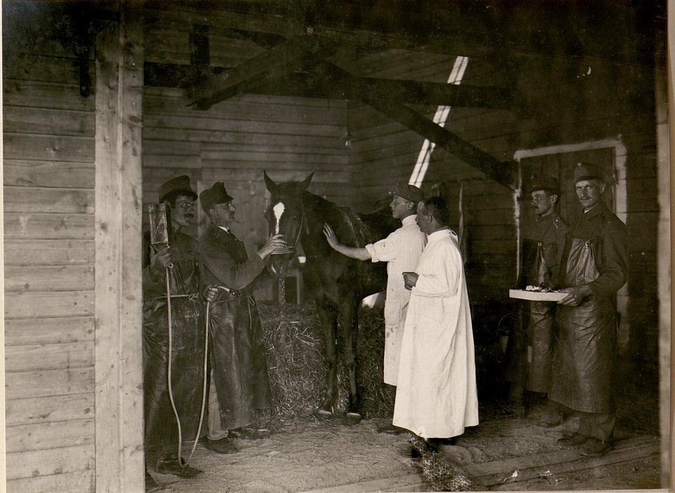 Im Pferdespital Nr, 102 in Klagenfurt. Operationsraum. (20-6.1917.) (BildID 15799412)