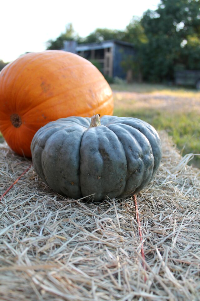 Fall october season