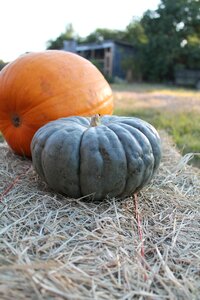 Fall october season