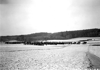 In Formation besammelte Infanterie auf dem Felde - CH-BAR - 3237862