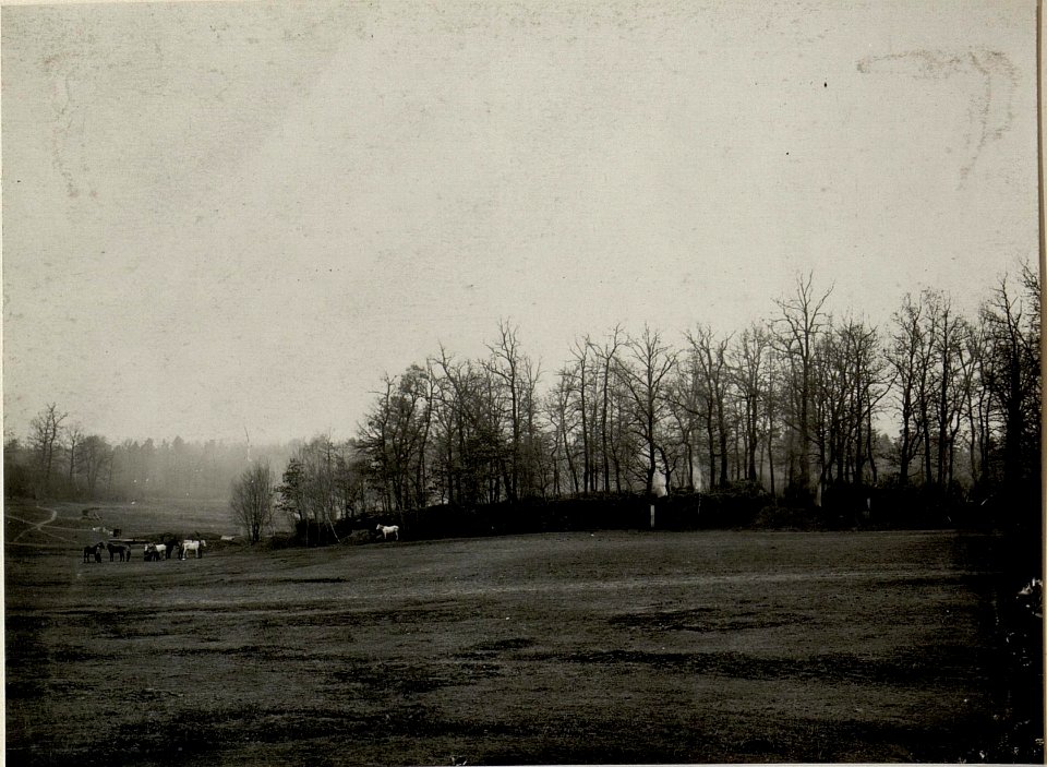 Improv. Stallungen der Batterie I des FKR.Nro.29 im Walde südlich MALIN. Aufgenommen am 19. November 1915. (BildID 15540755)