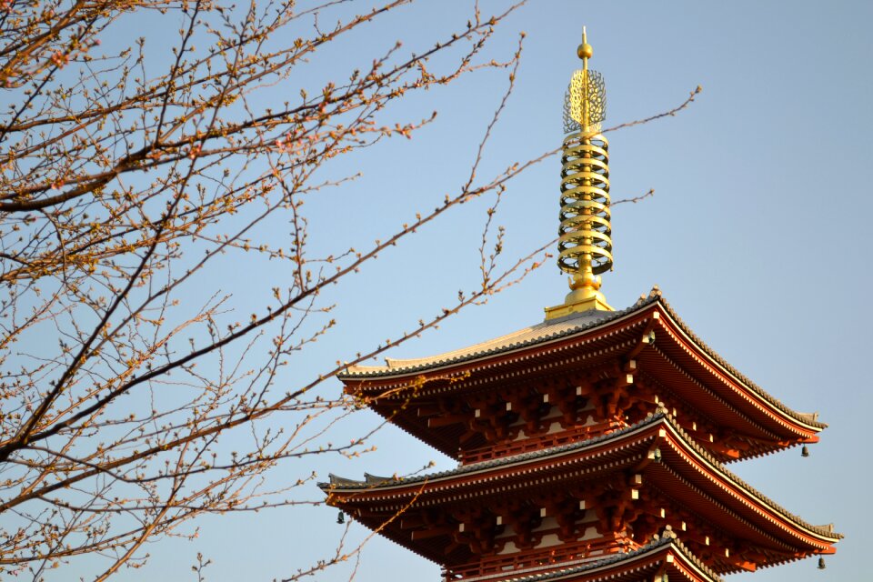 Japanese asia travel