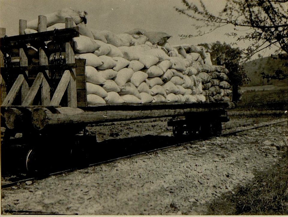 Improvisierte Eisenbahnwagen, Oporzec - Slavsko. (BildID 15522547)