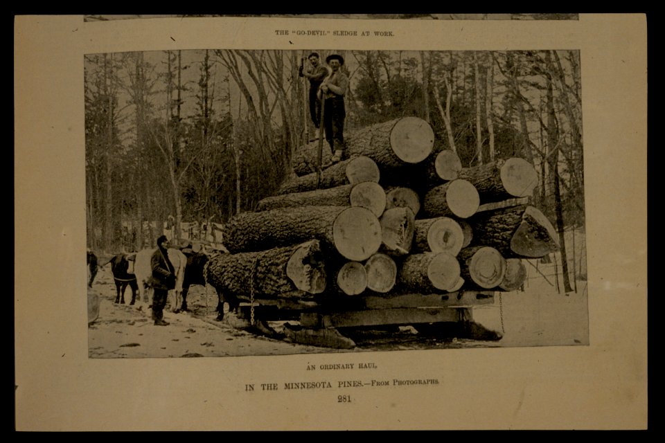 In the Minnesota pines - an ordinary haul LCCN2004682221