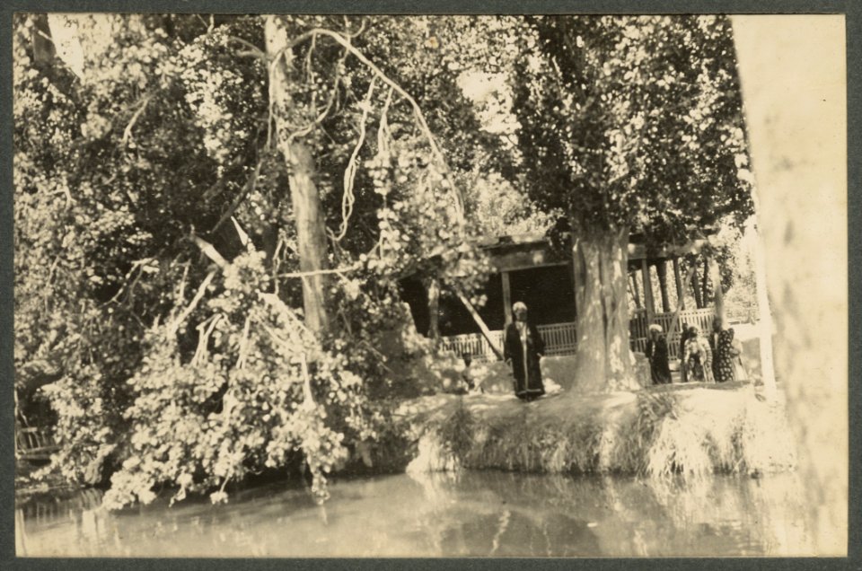 In the Khotan Oasis