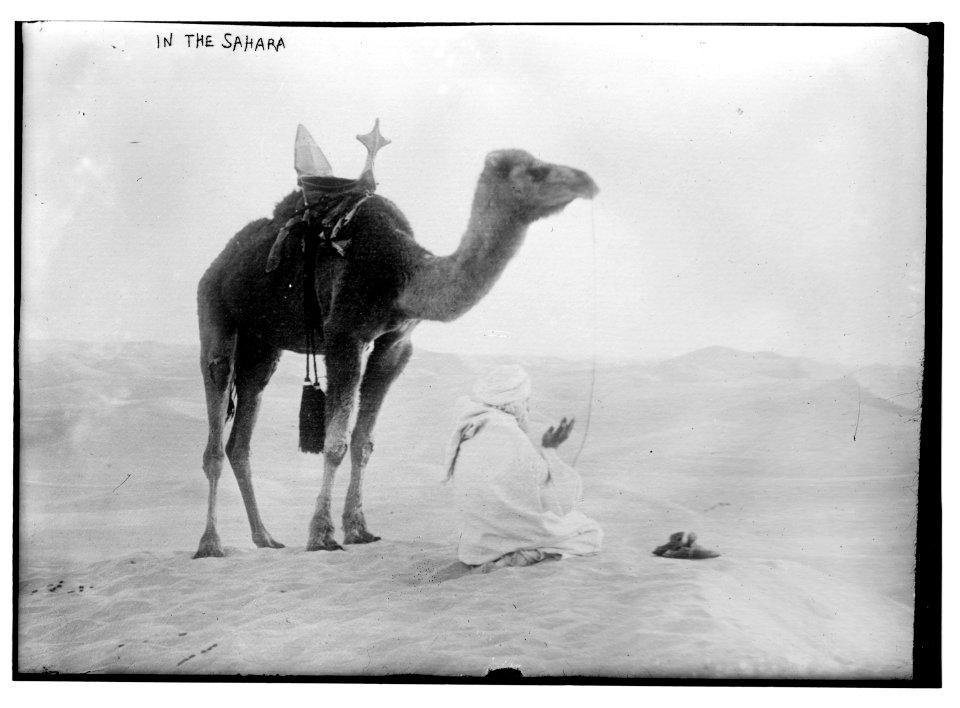 In the Sahara LCCN2014690720