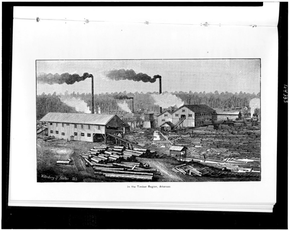 In the timber region, Arkansas - Wittenberg & Sorber, St L. LCCN91796651