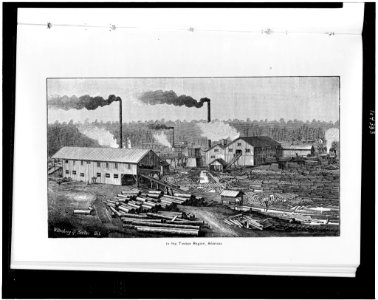 In the timber region, Arkansas - Wittenberg & Sorber, St L. LCCN91796651