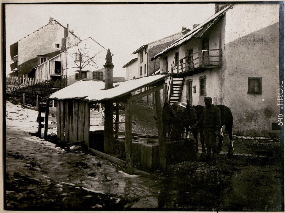 In Vielgereuth (BildID 15730766)