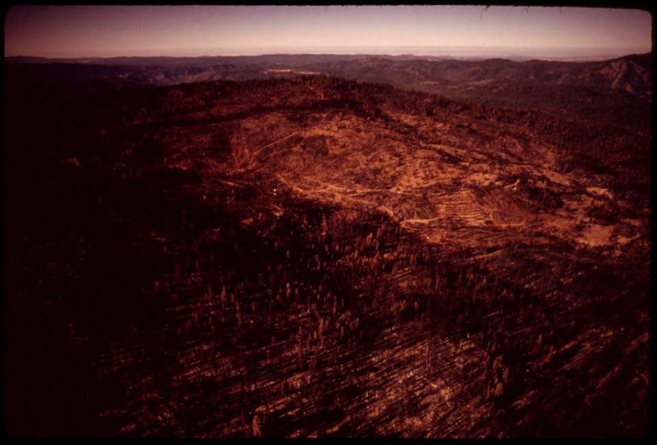 In-august-1973-a-major-forest-fire-swept-through-17470-acres-of-the-western-slopes-of-the-sierra-mountain-range-near-sonora--burn-area-granite-fire-seen-from-the-air-september-1973 7153181571 o