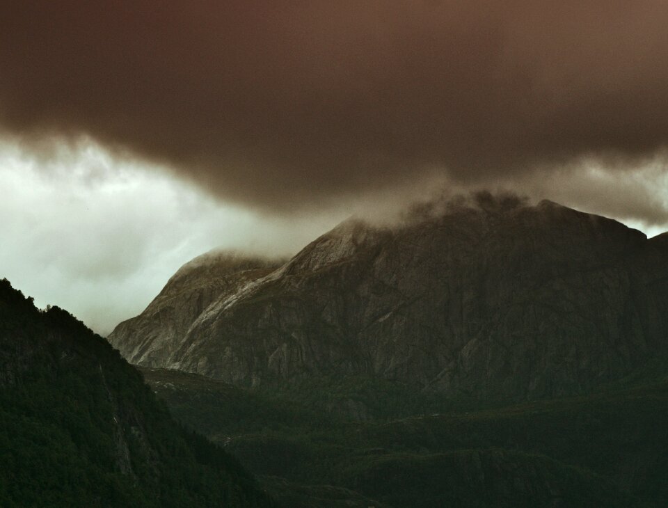 Valley highland trees