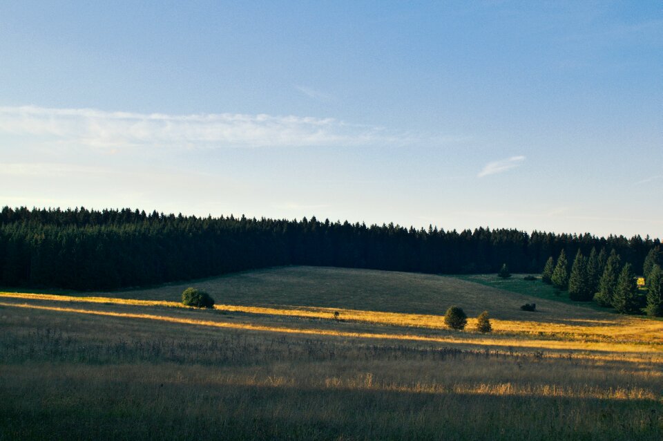Farm grass green