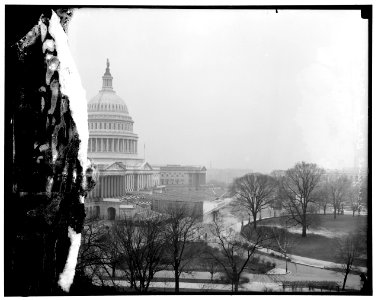 Inaugural stands, Capitol LOC hec.13642