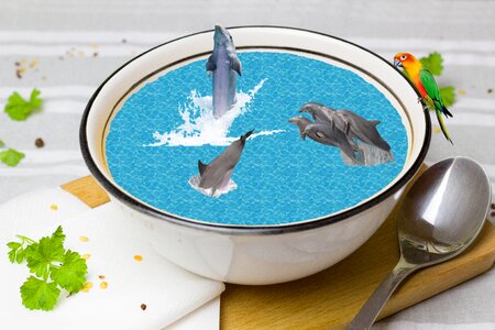 Photomontage dolphin swim