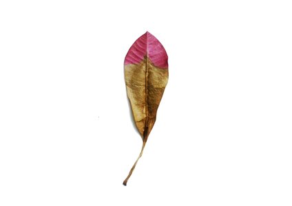Creativity element minimalistic