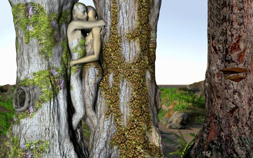 Romantic fantasy picture photomontage