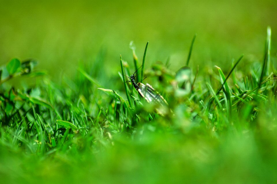 Nature landscape spring