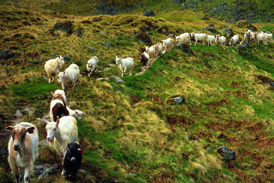 Rural nature countryside