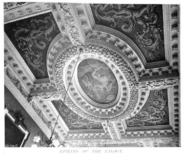In English Homes Vol 3 Rainham Hall Norfolk ceiling of the saloon 31295005735708 0141