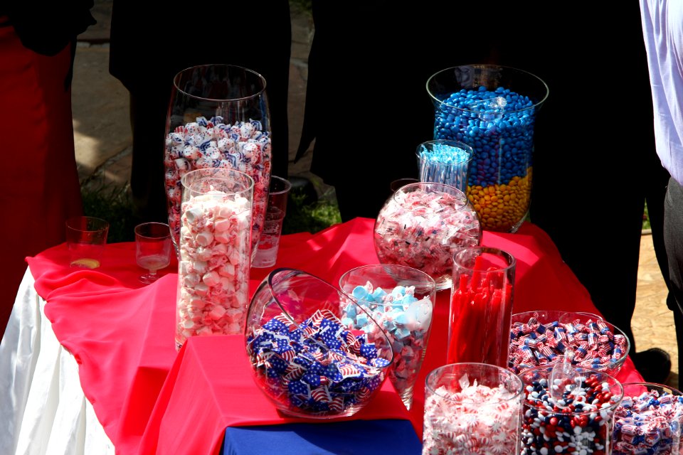 Independence Day Reception, July 3, 2014 (14418084407)