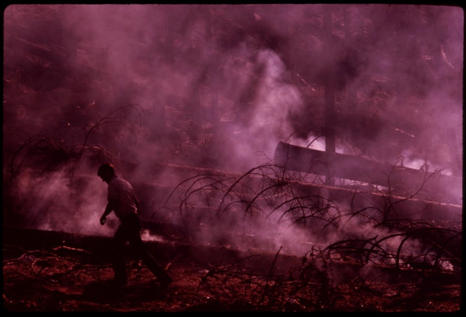 In-august-1973-a-major-forest-fire-swept-through-17470-acres-of-the-western-slopes-of-the-sierra-mountain-range-near-sonora-fire-fighter-in-part-of-the-burn-area-called-granite-fire-september-1973 7007087458 o