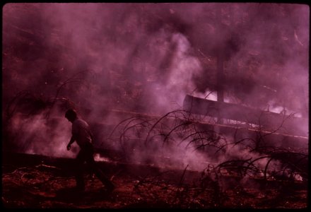 In-august-1973-a-major-forest-fire-swept-through-17470-acres-of-the-western-slopes-of-the-sierra-mountain-range-near-sonora-fire-fighter-in-part-of-the-burn-area-called-granite-fire-september-1973 7007087458 o