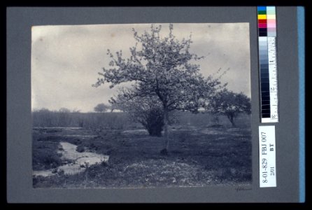 In May - Allen. LCCN2004676242