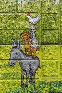 House wall house facade