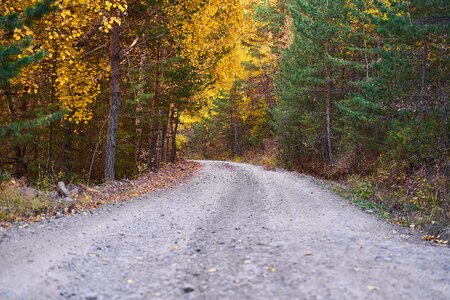 Nature beautiful background photo