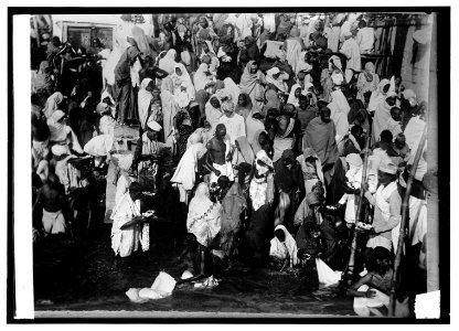 India, a group of Pilgrims in New Years day LCCN2016821044