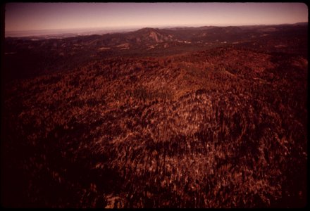 In-august-1973-a-major-forest-fire-swept-through-17470-acres-of-the-western-slopes-of-the-sierra-mountain-range-near-sonora-burn-area-granite-fire-seen-from-the-air-september-1973 7007089914 o