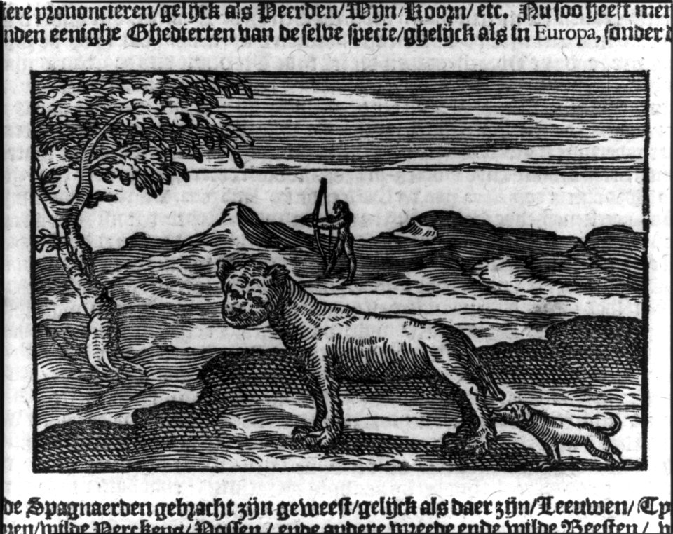 Indian with bow and arrow drawn in background; animals in foreground LCCN2004668540