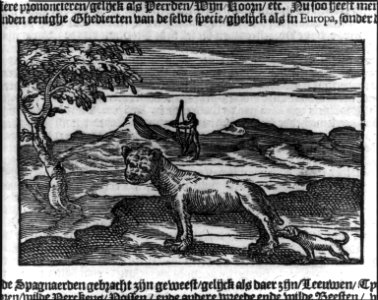 Indian with bow and arrow drawn in background; animals in foreground LCCN2004668540