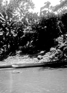 Indian-kanoter av inlandstyp. Stam, Cuna. Lokal, Rio Caimanes, ö.sidan av Urabábukten, Colombia - SMVK - 004504