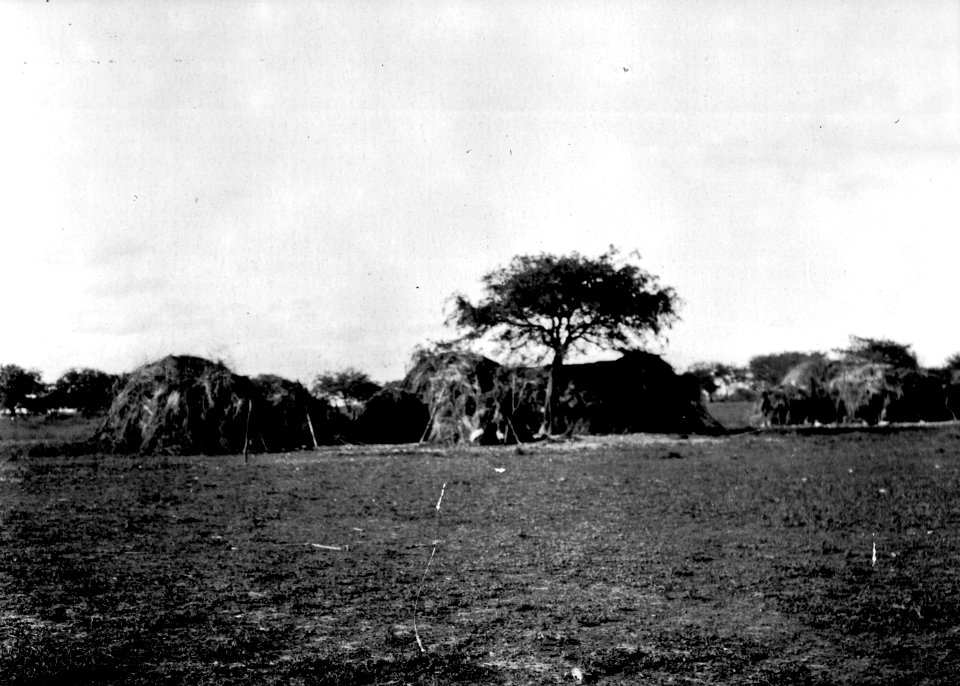 Indianby. Rio Pilcomayo, Gran Chaco. Bolivia - SMVK - 004718