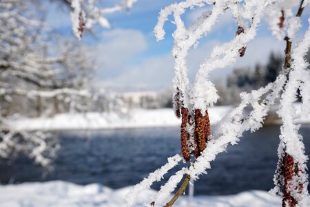 Cold frozen river