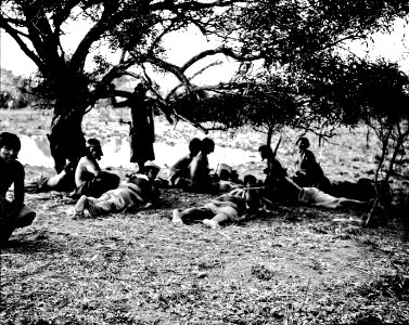 Indianer söka skugga under ett träd. Gran Chaco, Rio Pilcomayo. Bolivia - SMVK - 004659 photo
