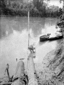 Indiankanoter samt expeditionens motorbåt. Darién, Sambú River. Panama - SMVK - 004015 photo